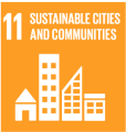 SDG 11