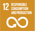 SDG 12