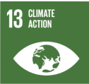 SDG 13