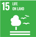 SDG 15